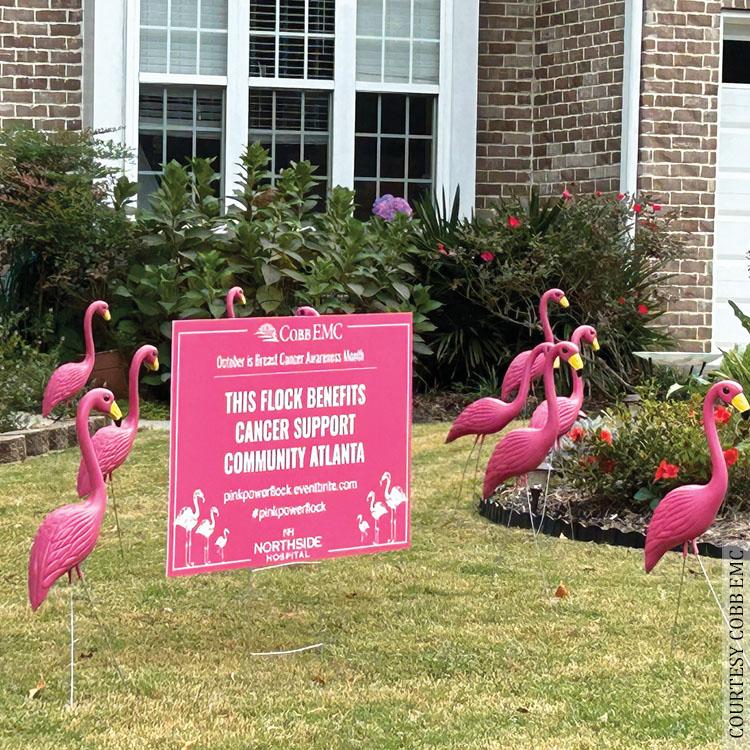 Pink flamingo display for breast cancer awareness 