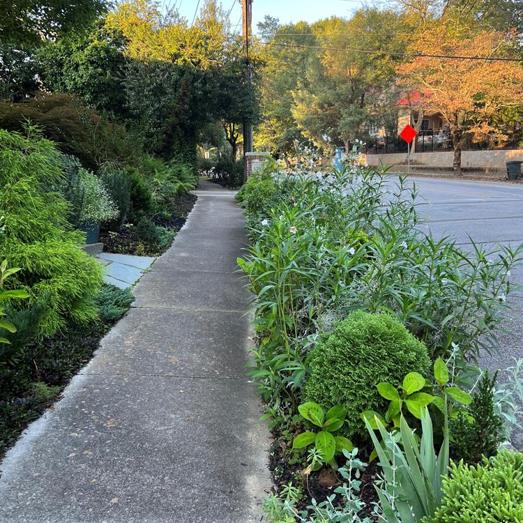 Gardening beyond the sidewalk