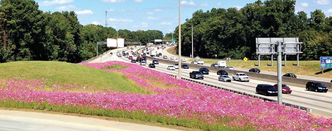 Georgia DOT's wildflower program beautifies highways