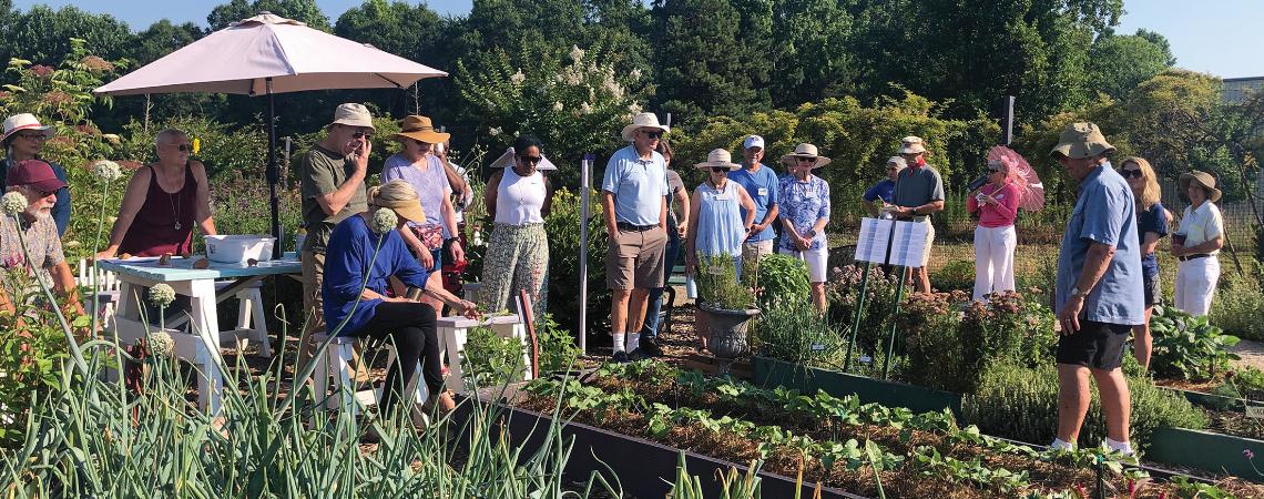 Allan Armitage leads a group of Georgia Master Gardeners on a tour at the University of Georgia's gardens