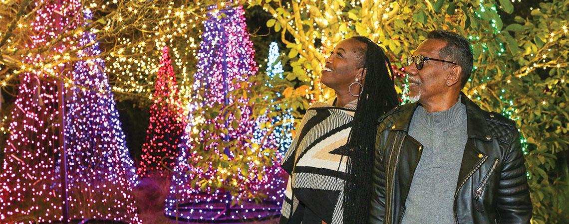 a couple admires christmas lights