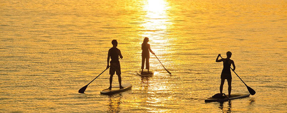 three people standing on paddleboards on flat water