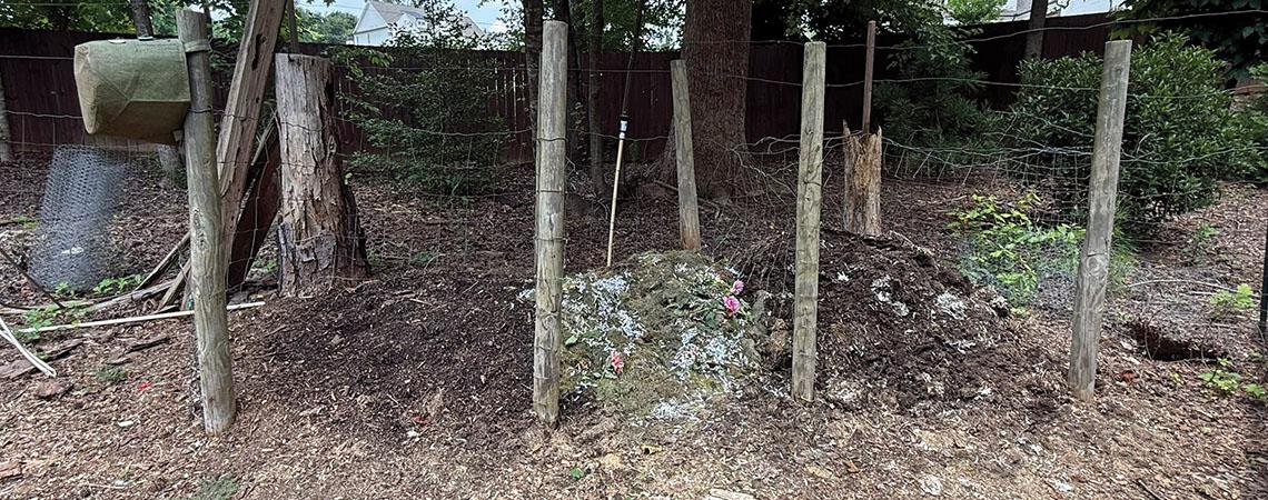 composting piles
