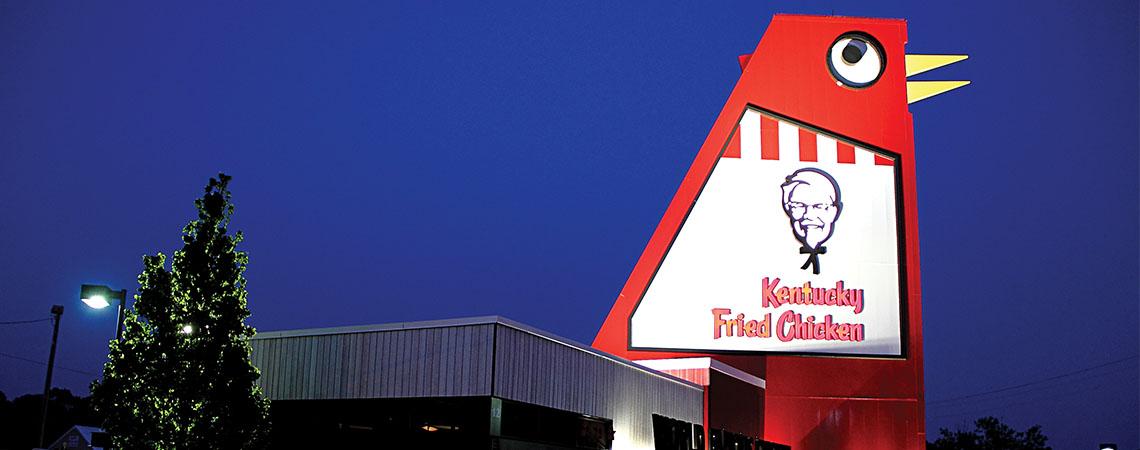 big chicken at night