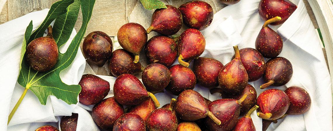 up close shot of figs
