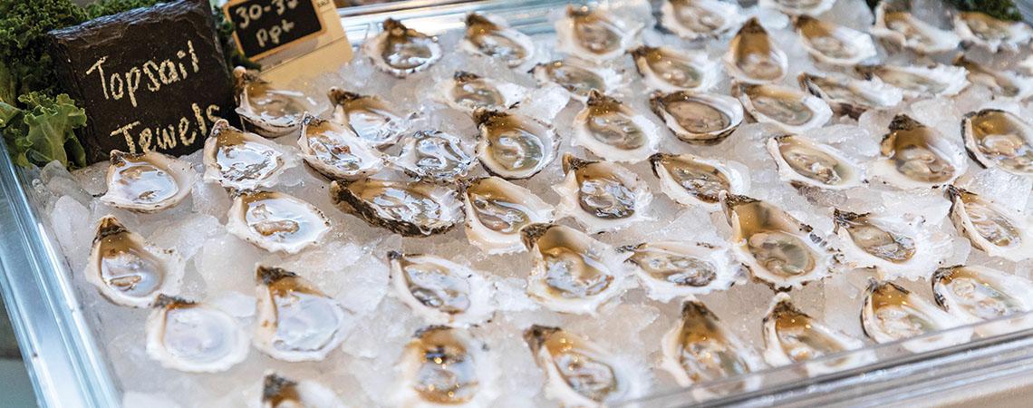 oysters on ice